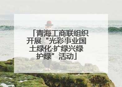 青海工商联组织开展“光彩事业国土绿化·扩绿兴绿护绿”活动