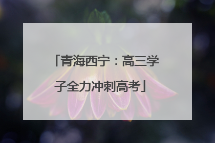 青海西宁：高三学子全力冲刺高考