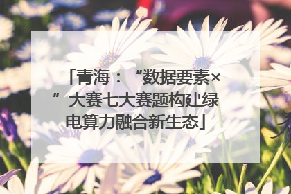 青海：“数据要素×”大赛七大赛题构建绿电算力融合新生态