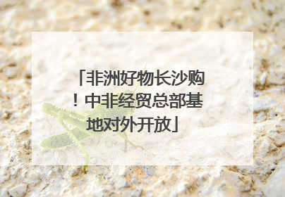 非洲好物长沙购！中非经贸总部基地对外开放