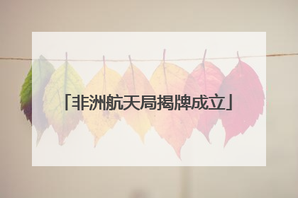 非洲航天局揭牌成立
