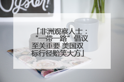 非洲观察人士：“一带一路”倡议至关重要 美国双标行径贻笑大方