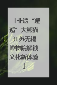 非遗“邂逅”大熊猫 江苏无锡博物院解锁文化新体验