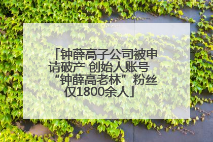 钟薛高子公司被申请破产 创始人账号“钟薛高老林”粉丝仅1800余人