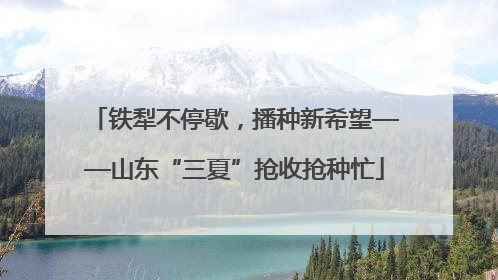 铁犁不停歇，播种新希望——山东“三夏”抢收抢种忙