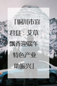 铜川市宜君县：艾草飘香迎端午 特色产业助振兴