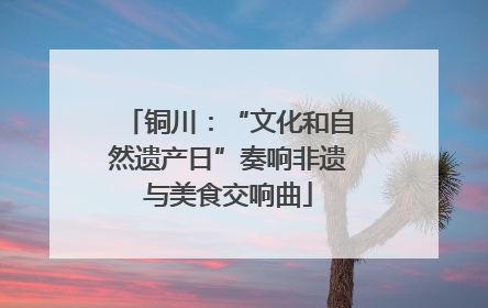 铜川：“文化和自然遗产日”奏响非遗与美食交响曲