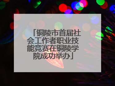 铜陵市首届社会工作者职业技能竞赛在铜陵学院成功举办
