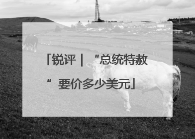 锐评｜“总统特赦”要价多少美元