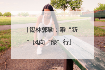 锡林郭勒：乘“新”风向“绿”行