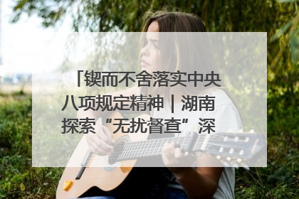 锲而不舍落实中央八项规定精神｜湖南探索“无扰督查”深化基层减负