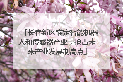 长春新区锚定智能机器人和传感器产业，抢占未来产业发展制高点