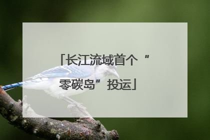 长江流域首个“零碳岛”投运