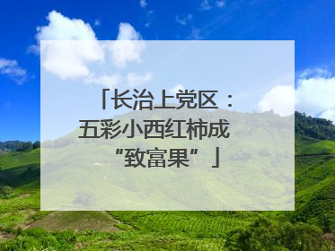 长治上党区：五彩小西红柿成“致富果”