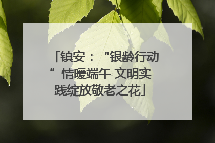 镇安：“银龄行动”情暖端午 文明实践绽放敬老之花