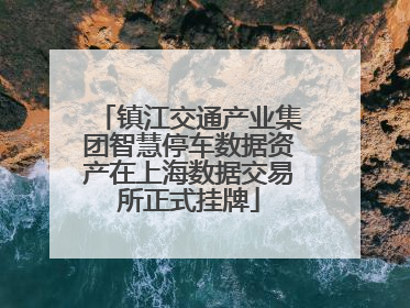镇江交通产业集团智慧停车数据资产在上海数据交易所正式挂牌