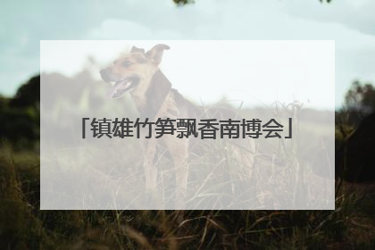 镇雄竹笋飘香南博会