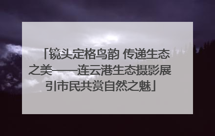 镜头定格鸟韵 传递生态之美——连云港生态摄影展引市民共赏自然之魅