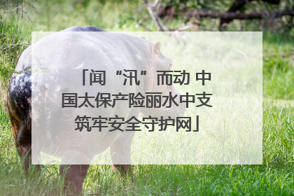 闻“汛”而动 中国太保产险丽水中支筑牢安全守护网