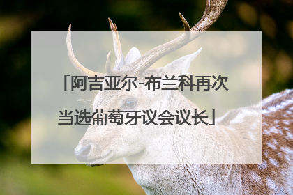 阿吉亚尔-布兰科再次当选葡萄牙议会议长