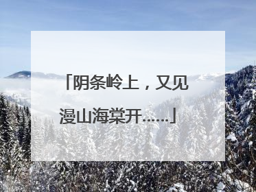 阴条岭上，又见漫山海棠开……