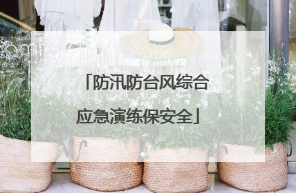 防汛防台风综合应急演练保安全