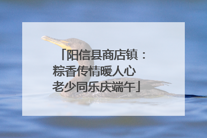 阳信县商店镇：粽香传情暖人心 老少同乐庆端午