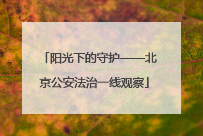 阳光下的守护——北京公安法治一线观察