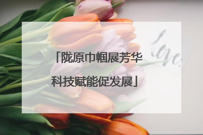 陇原巾帼展芳华 科技赋能促发展