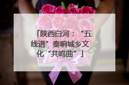 陕西白河：“五线谱”奏响城乡文化“共鸣曲”