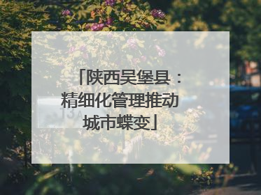 陕西吴堡县：精细化管理推动城市蝶变