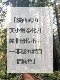陕西武功二实小常态化开展非遗传承——非遗沉淀自信底色