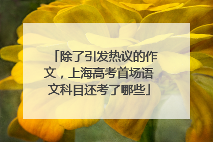 除了引发热议的作文，上海高考首场语文科目还考了哪些