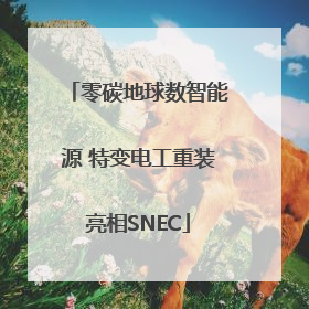 零碳地球数智能源 特变电工重装亮相SNEC
