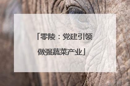 零陵：党建引领 做强蔬菜产业
