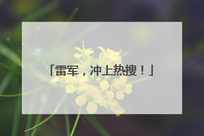 雷军，冲上热搜！