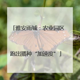 雅安雨城：农业园区跑出播种“加速度”