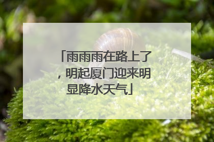 雨雨雨在路上了，明起厦门迎来明显降水天气