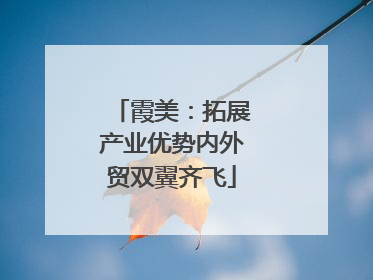 霞美：拓展产业优势内外贸双翼齐飞