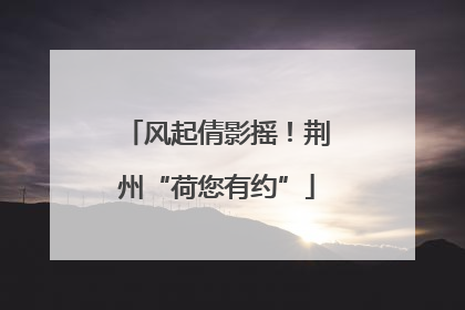 风起倩影摇！荆州“荷您有约”