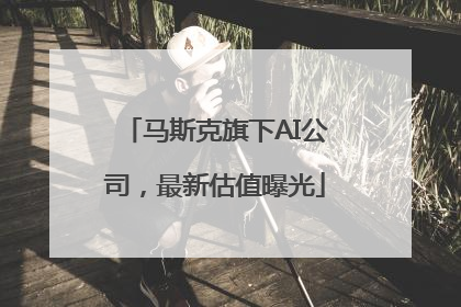 马斯克旗下AI公司，最新估值曝光