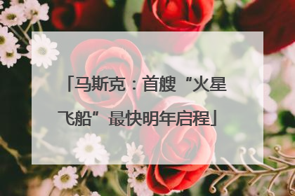 马斯克：首艘“火星飞船”最快明年启程