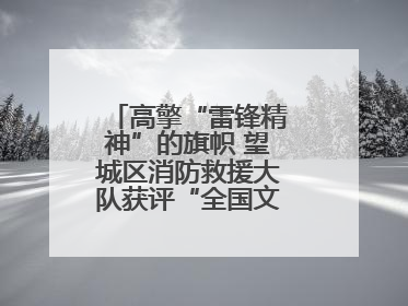 高擎“雷锋精神”的旗帜 望城区消防救援大队获评“全国文明单位”称号