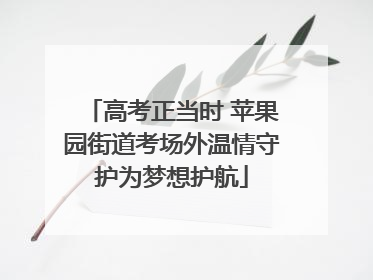 高考正当时 苹果园街道考场外温情守护为梦想护航