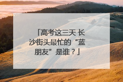高考这三天 长沙街头最忙的“蓝朋友”是谁？
