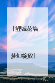鲤城花墙 梦幻绽放