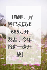 鲲鹏、昇腾已发展超665万开发者，今年将进一步开放