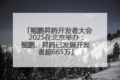 鲲鹏昇腾开发者大会2025在北京举办：鲲鹏、昇腾已发展开发者超665万