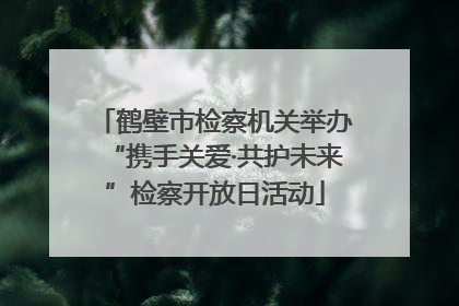 鹤壁市检察机关举办“携手关爱·共护未来”检察开放日活动