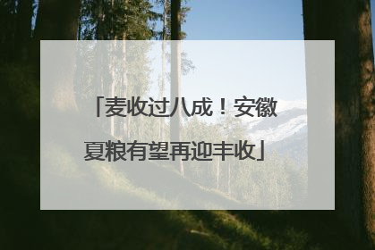 麦收过八成！安徽夏粮有望再迎丰收